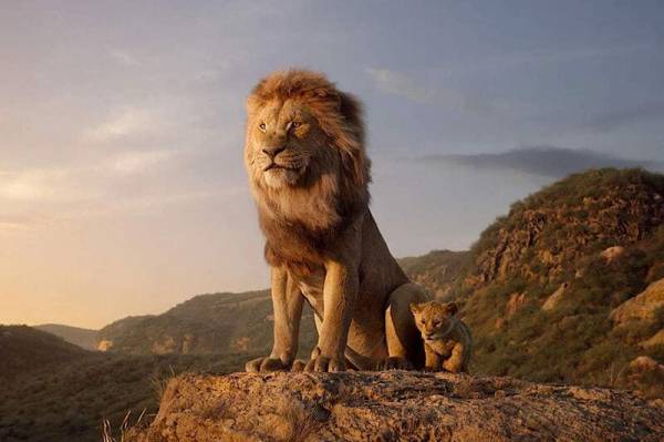 Rei leão 