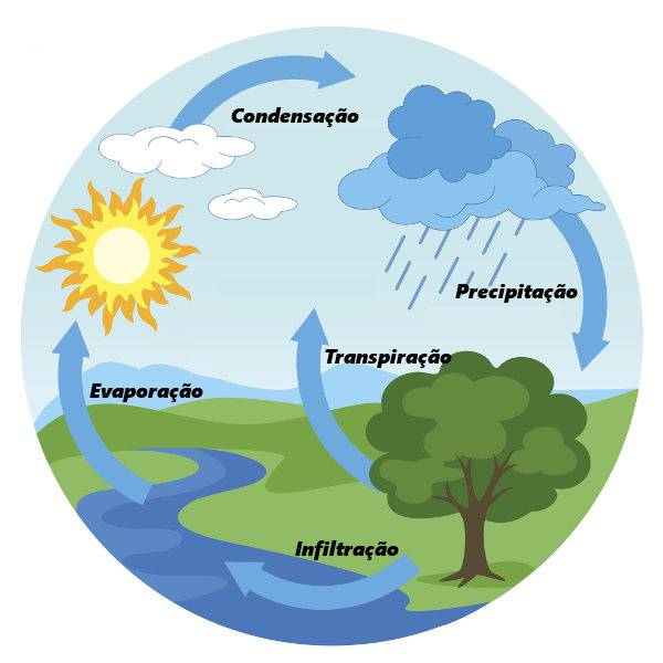 O ciclo da água  Vamos montar o quebra cabeças com o ciclo da água ! - site efuturo.com.br