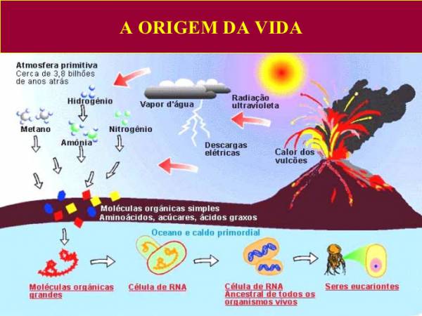 Teoria da evolução química  Imagem que demonstra a teoria da evolução química de Oparin e Haldane - site efuturo.com.br