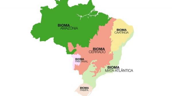 Biomas do Brail  Monte esta imagem que possui um mapa do brasil com a divisão de aonde podemos encontrar cada tipo de bioma - site efuturo.com.br