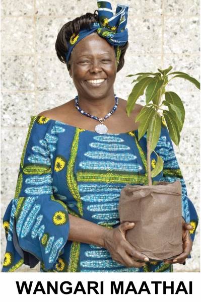 Raspadinha Wangari Maathai 