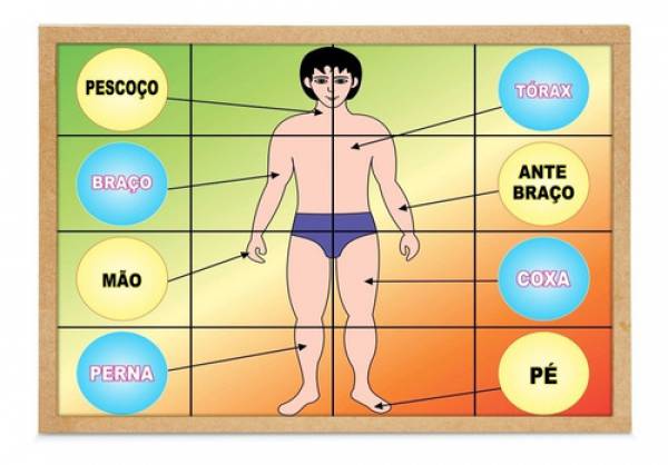 Partes do corpo  Corpo e Higiene. - site efuturo.com.br