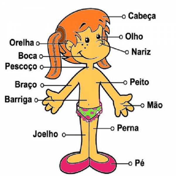 Partes do corpo.  Corpo humano. - site efuturo.com.br