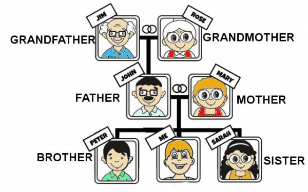 form the family  monte o puzzle da família. - site efuturo.com.br