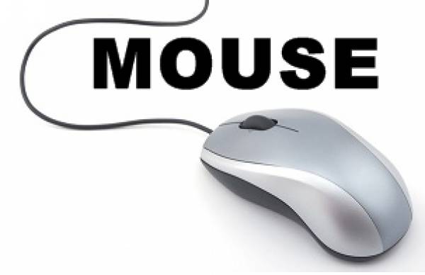 MOUSE 