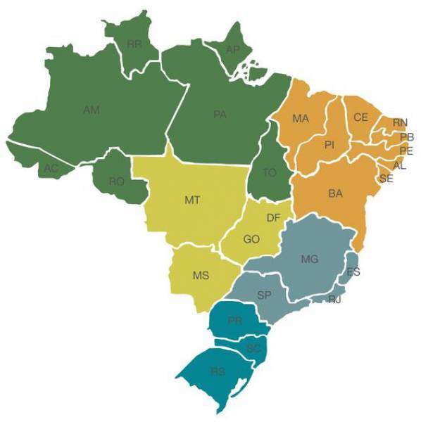 MEU BRASIL  Construindo meu país - site efuturo.com.br